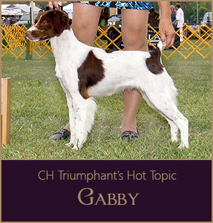 CH Triumphant's Hot Topic