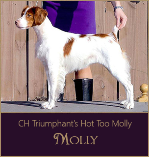 CH Triumphant's Hot Too Molly