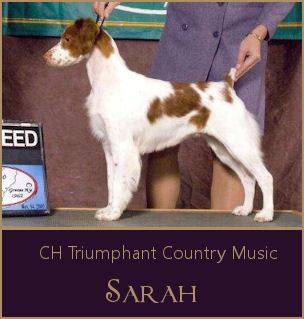 CH Triumphant Country Music