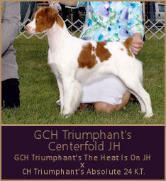 GCH Triumphant's Centerfold JH
