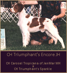 CH Triumphant's Encore JH